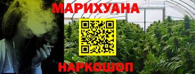 сатива Малгобек