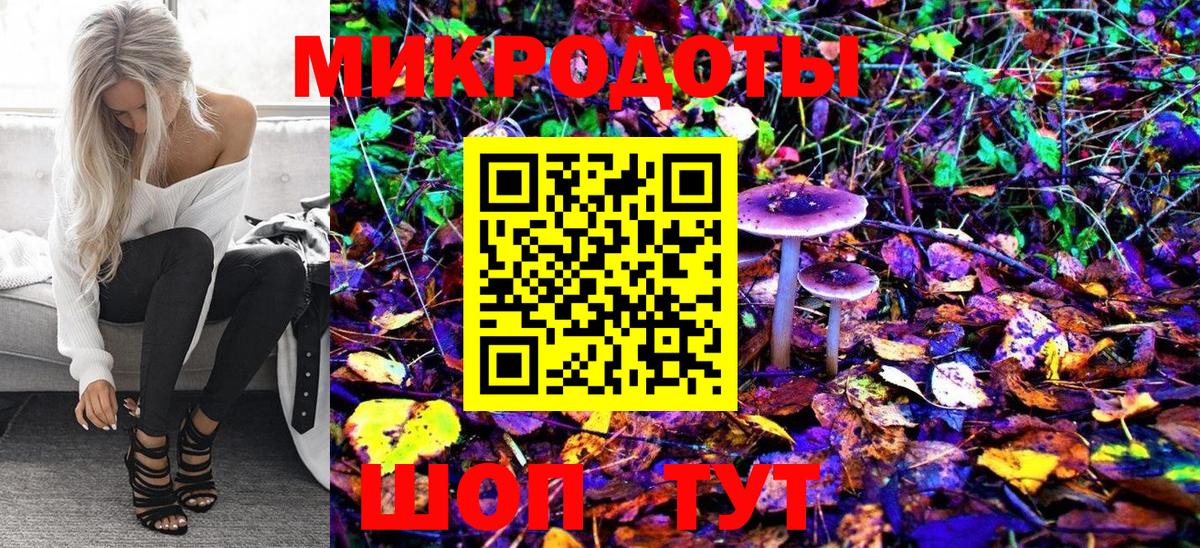 Псилоцибиновые грибы Psilocybine cubensis  Псилоцибиновые грибы GOLDEN TEACHER  Сунжа  Вход с VPN 